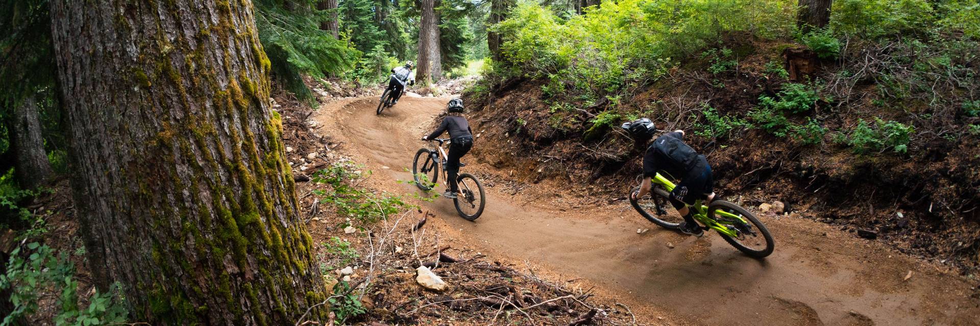 mountain bikes berm cruise through forest