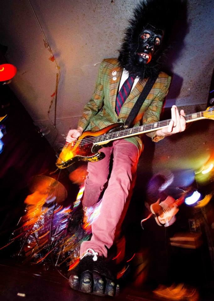 Primate Five Band Photo