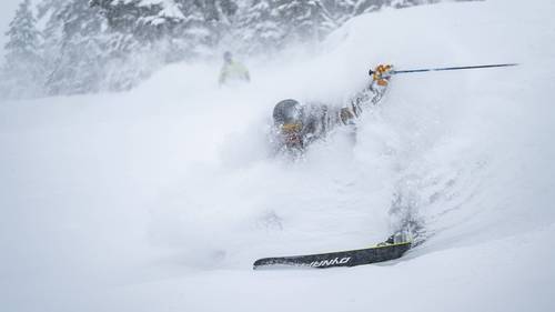 skier in deep powder