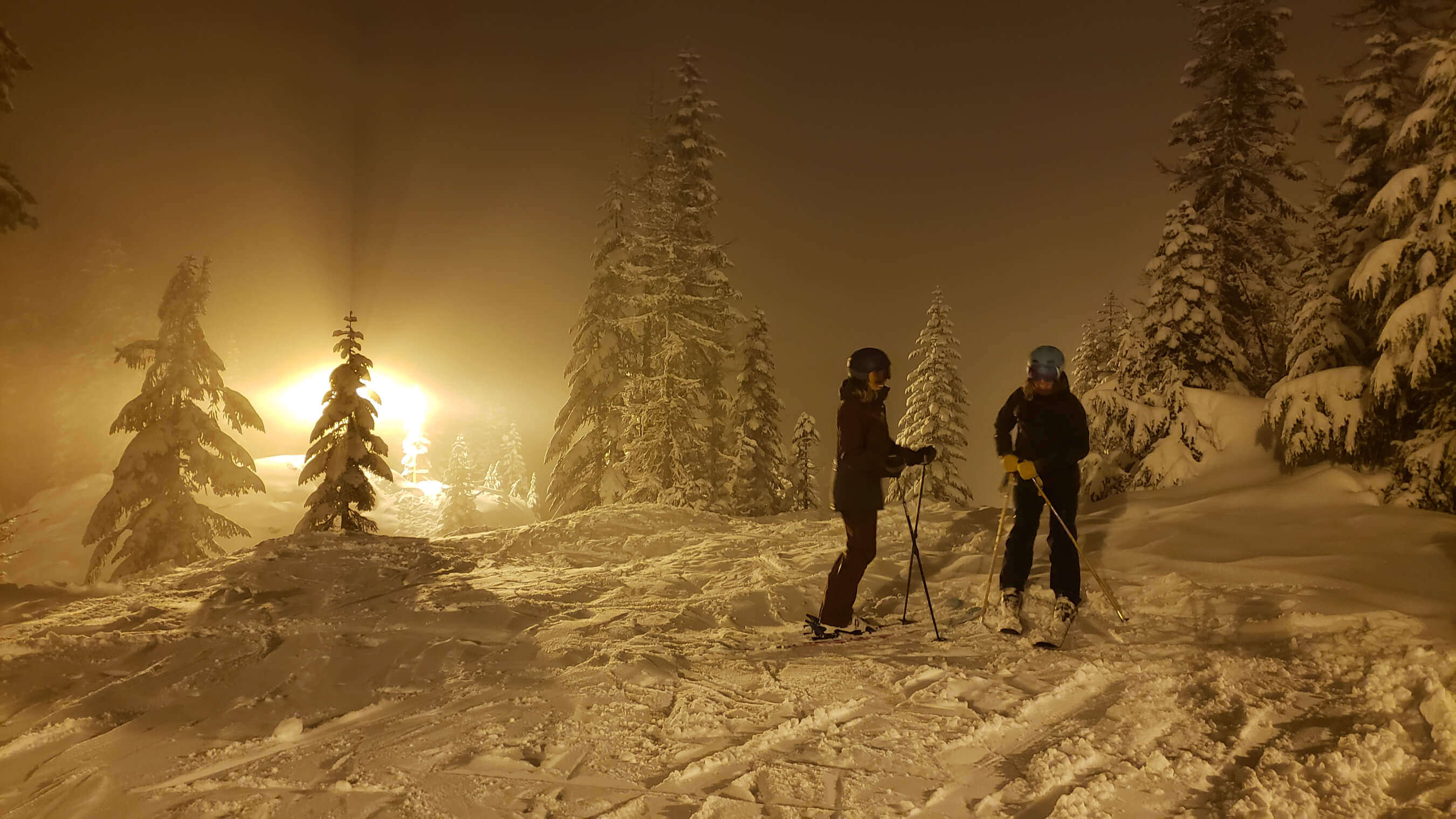 skiers standing in snowy trees