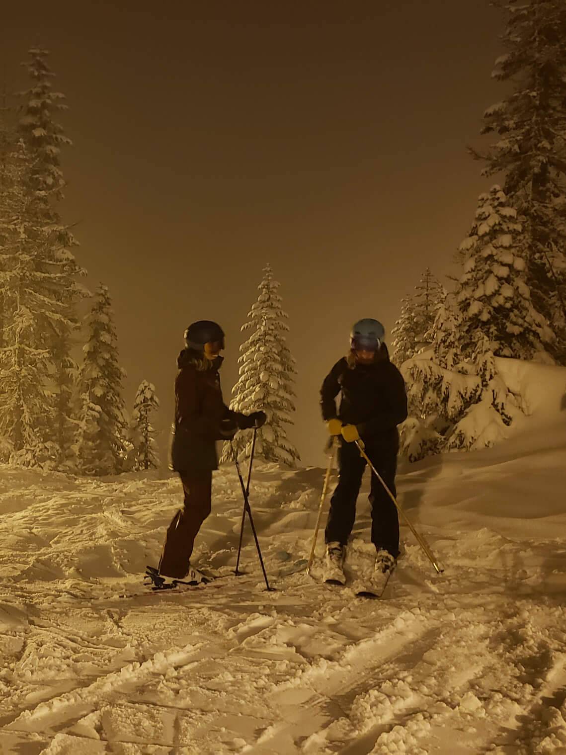 skiers standing in snowy trees