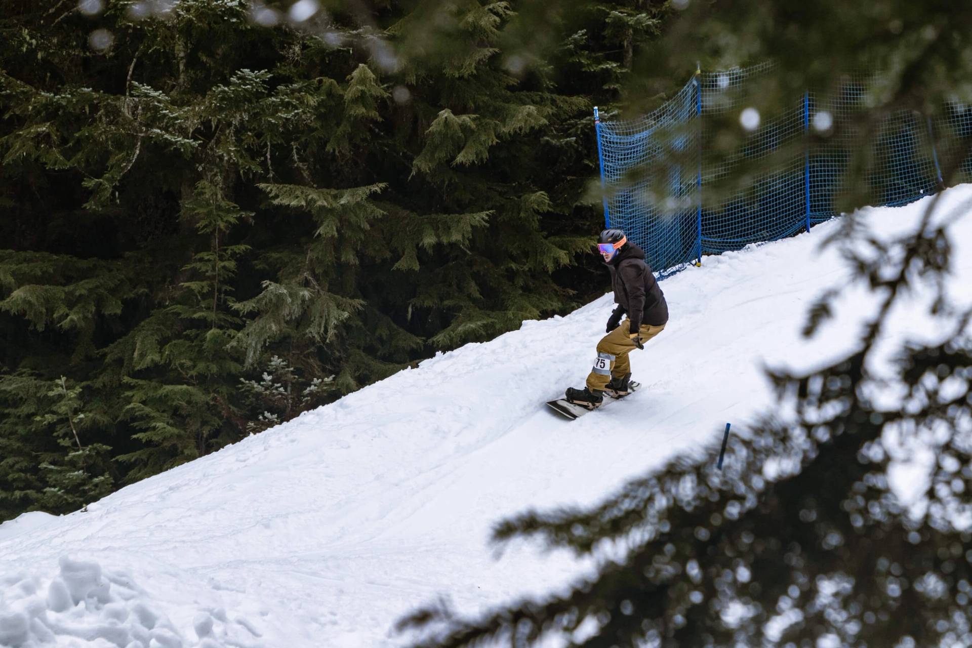 view of banked slalom course through trees