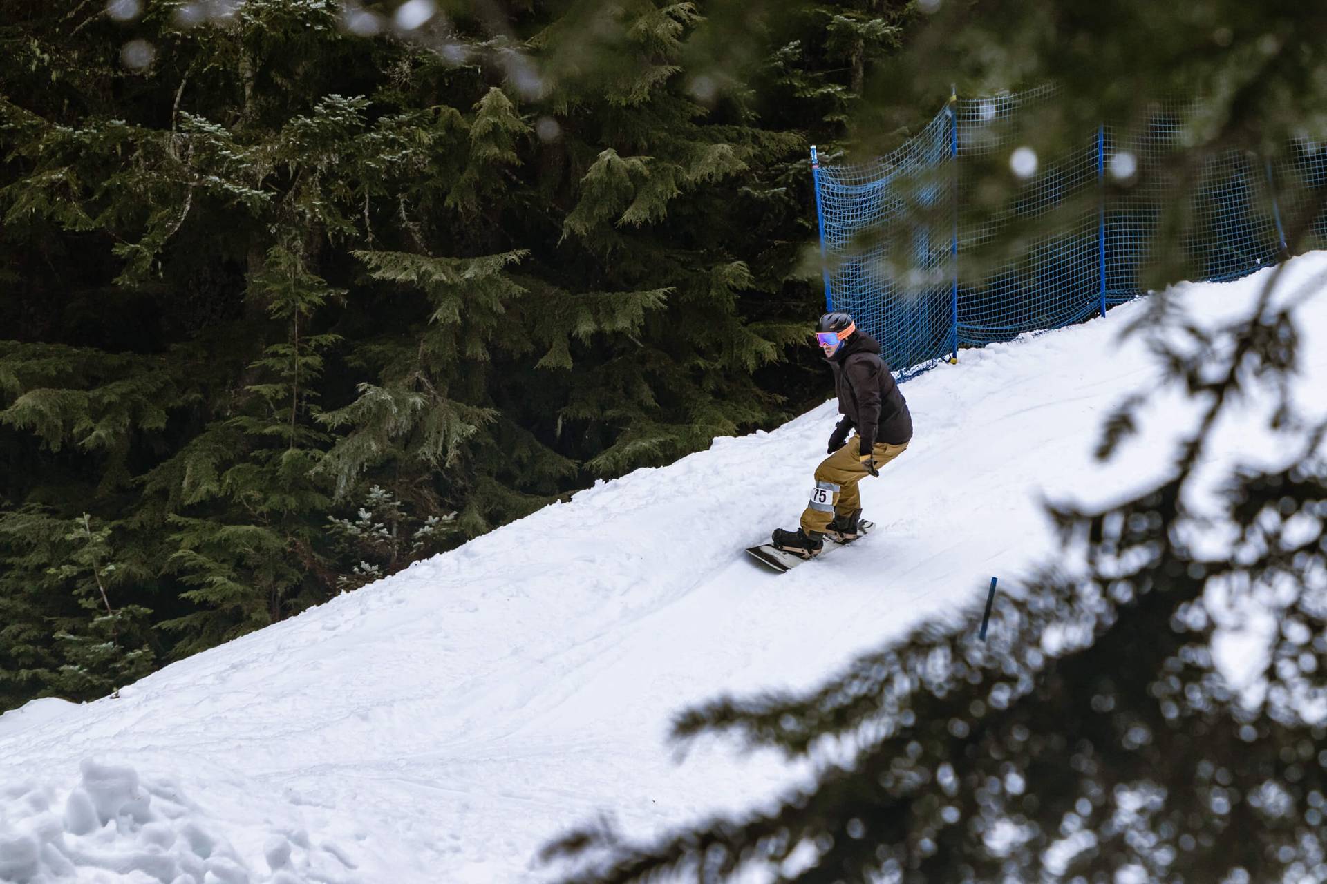 view of banked slalom course through trees