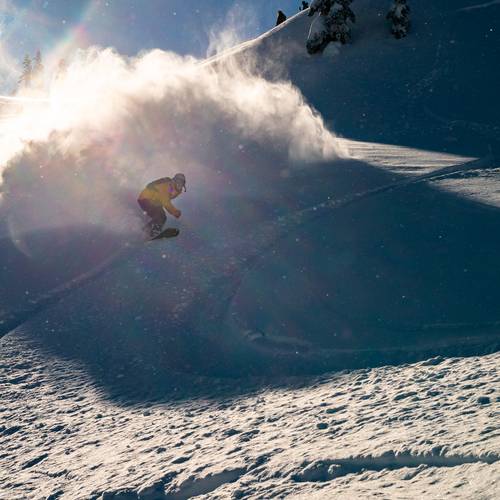 snowboarder powder slash sunburst