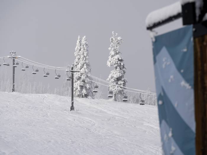 Julies chair and snowy trees