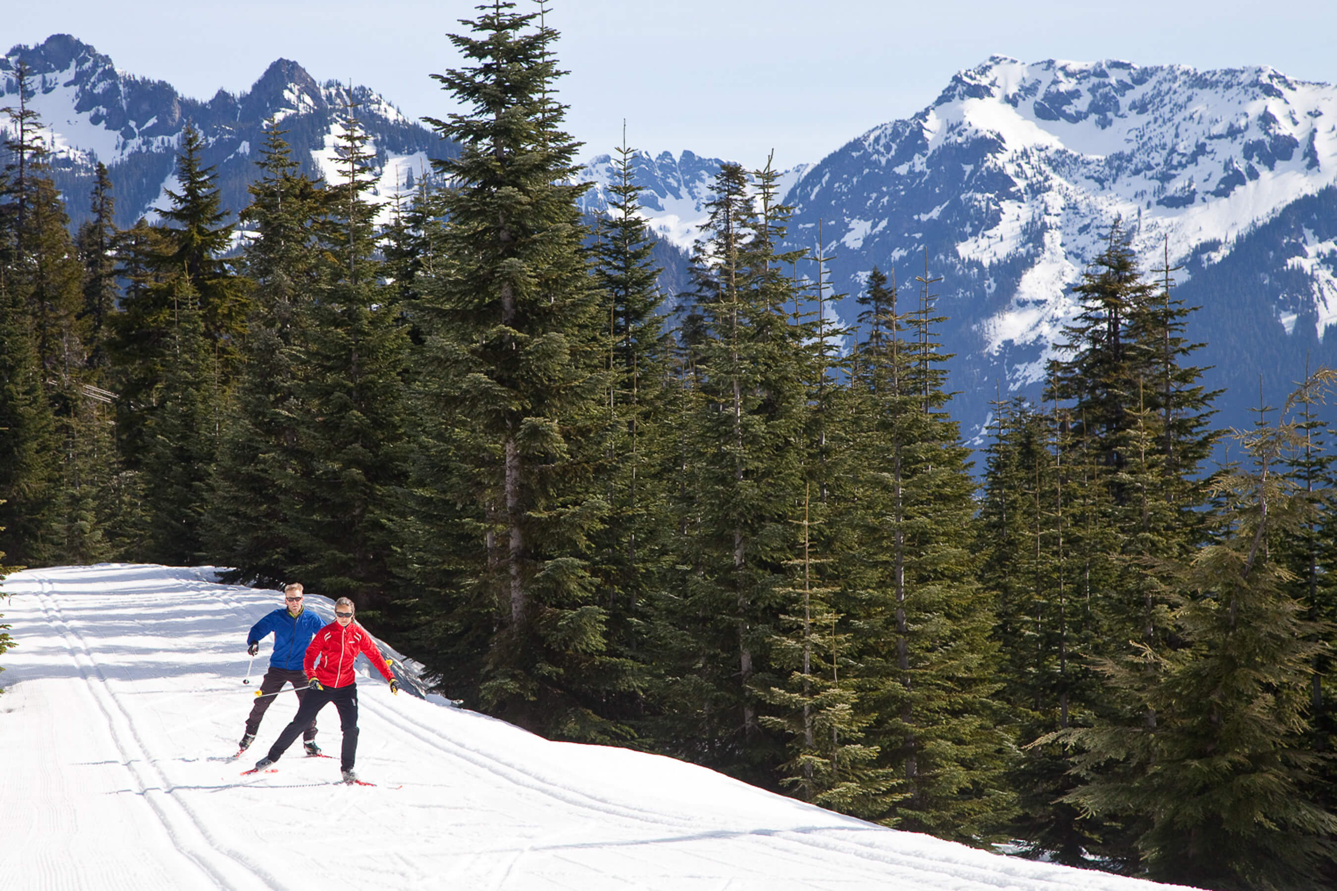 Nordic skiers on upper trails