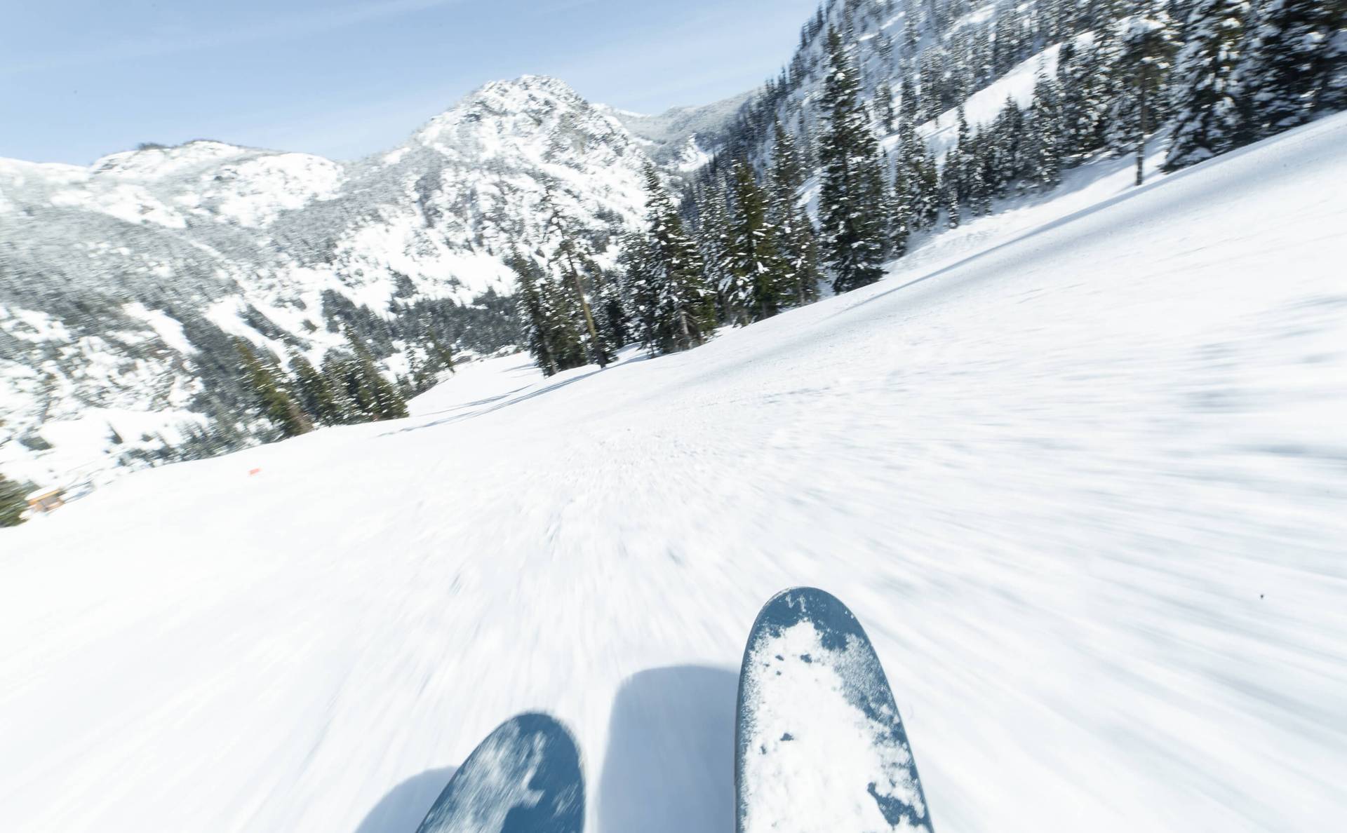 Ski tips on the slope