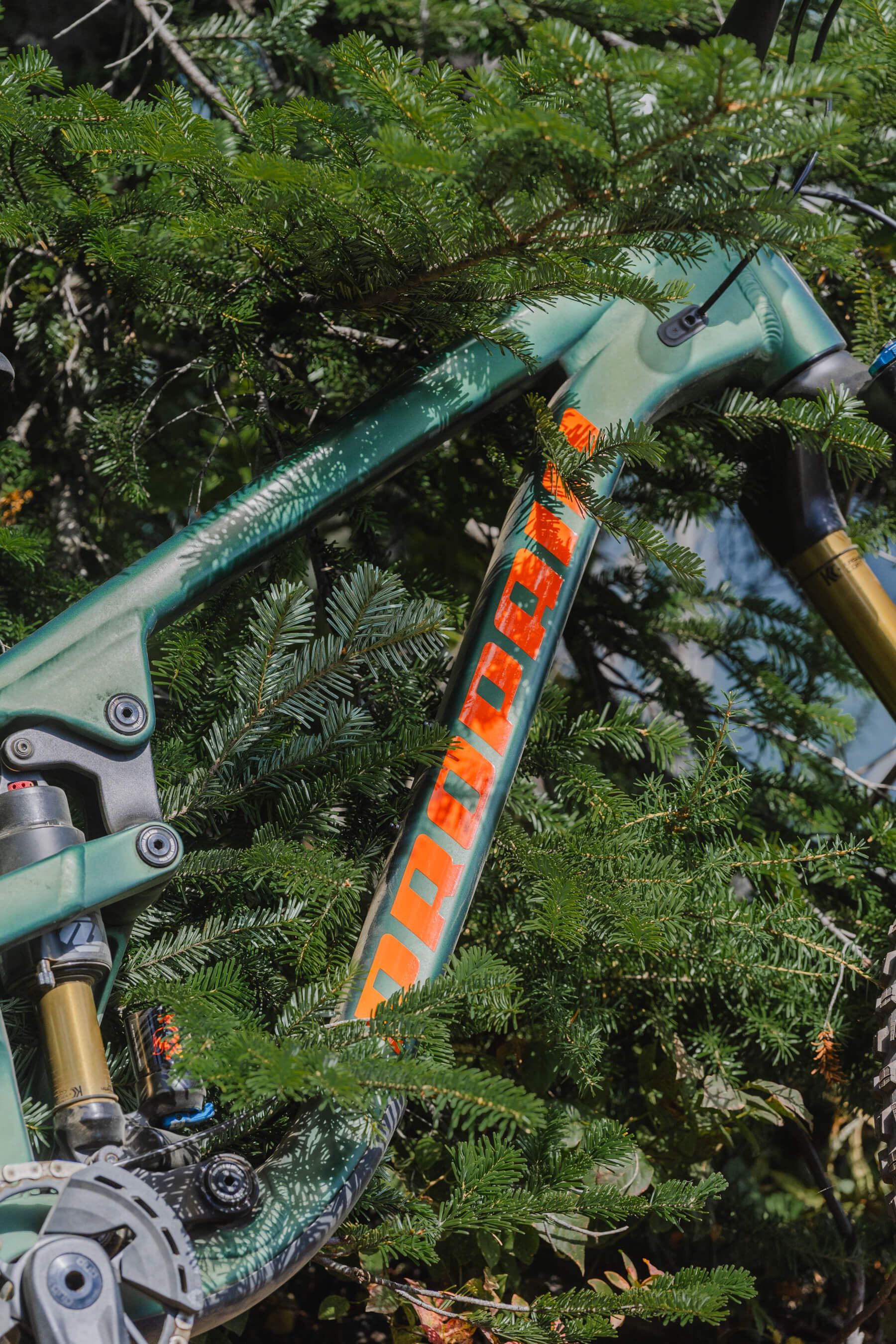 green Propain bicycles 