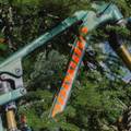 green Propain bicycles