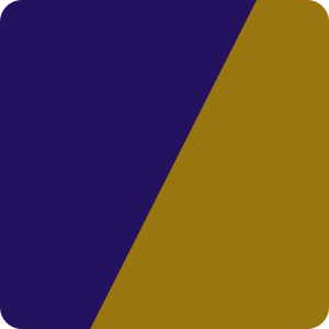 Baltimore Ravens