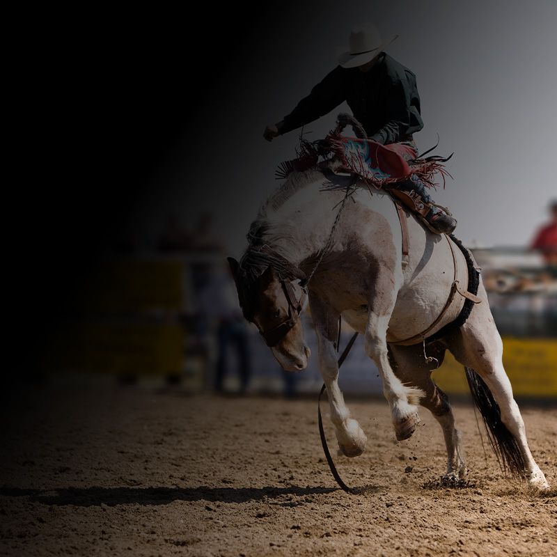 National Finals Rodeo