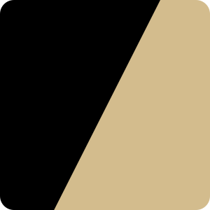 New Orleans Saints