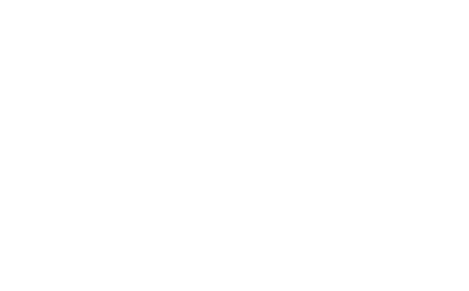 Guy on the Corner LLC