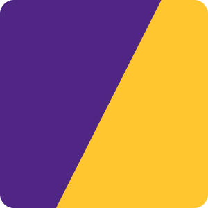 Minnesota Vikings