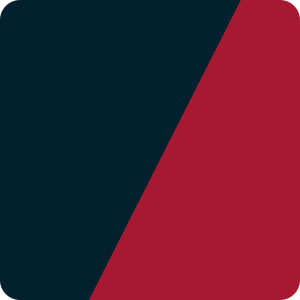 Houston Texans