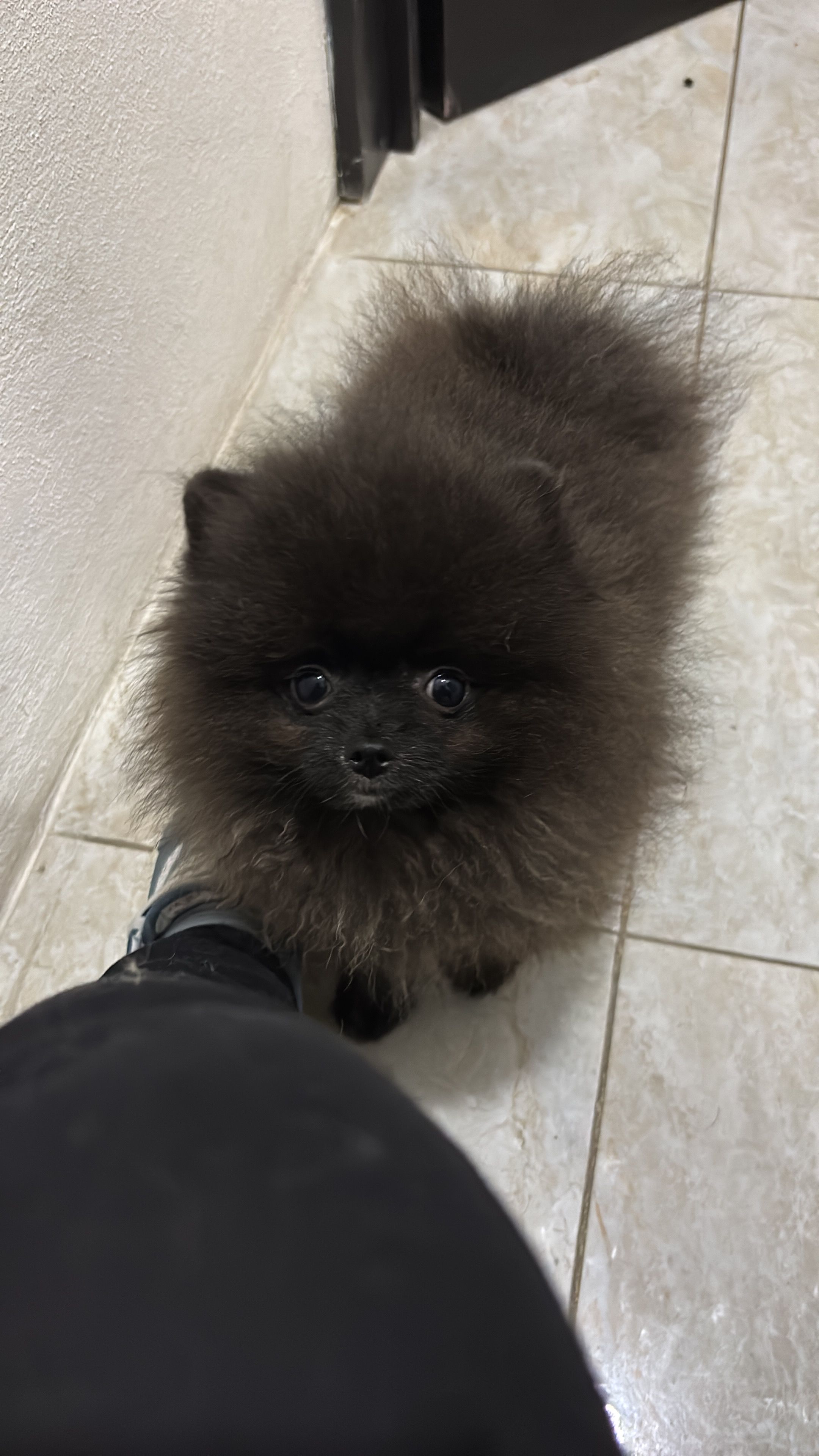 Jack