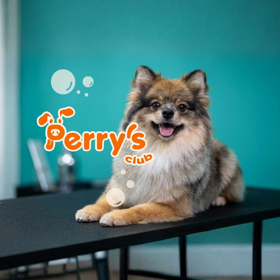 Perry's Club — Instalaciones