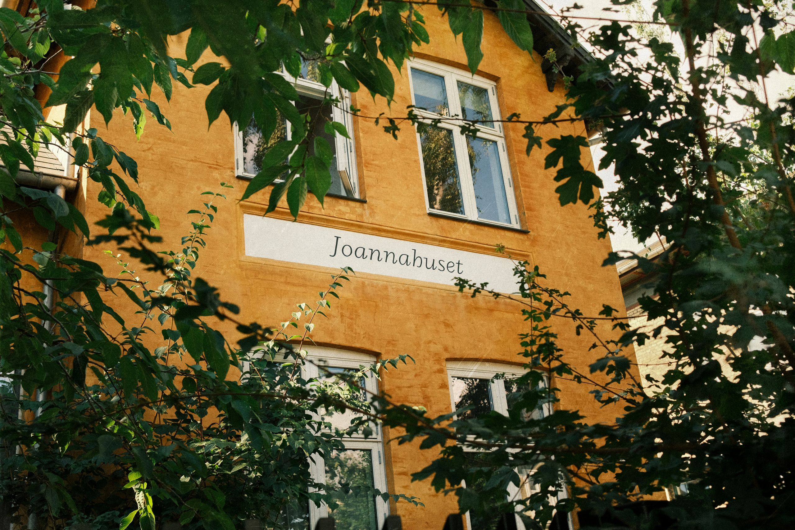 image-0d225aa75485647796f4fb8a84ac194a3d331858-6240x4160-jpg