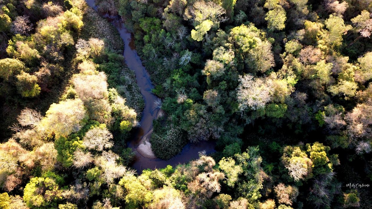 image-826cb2db1774f56d03c37f87e665d958f0b24c31-4000x2250-jpg