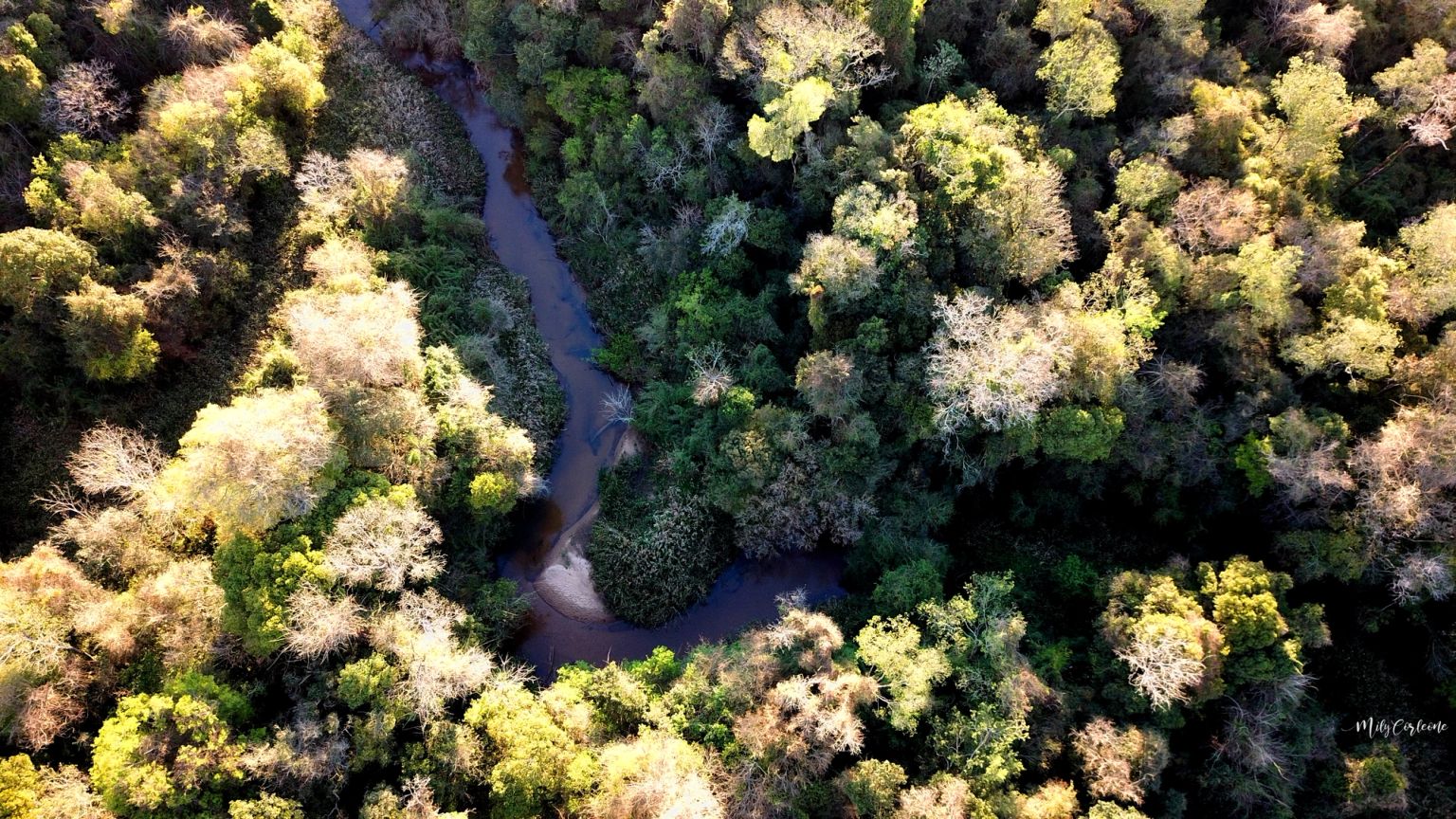 image-826cb2db1774f56d03c37f87e665d958f0b24c31-4000x2250-jpg