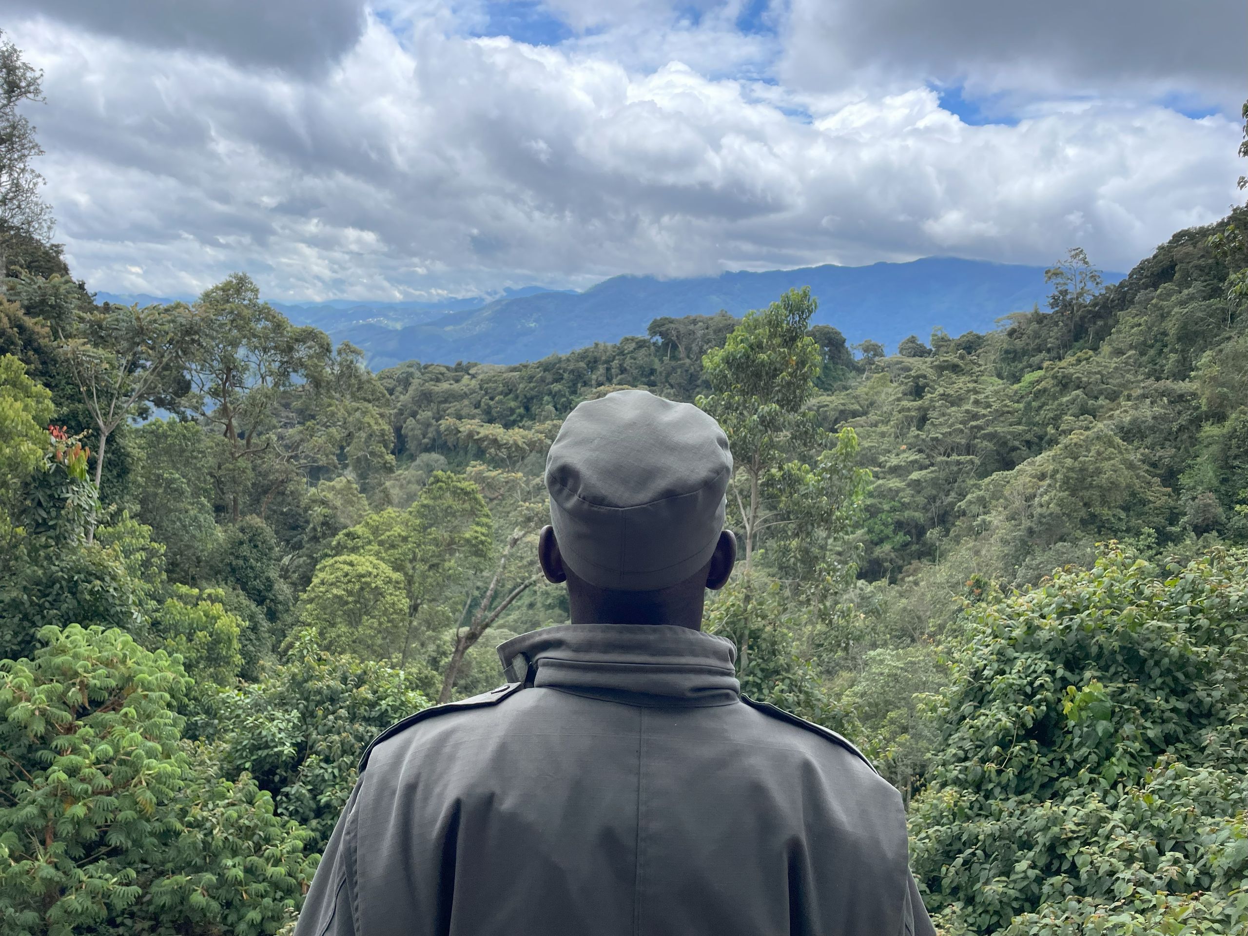 image-01c98997c2bcb8eec05d3f24c29d297a6b29a0c5-4032x3024-jpg