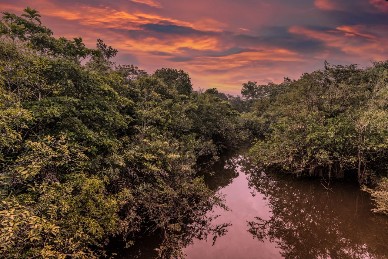 image-068141f983abda09530b93de20f35ccd0e794412-3500x2333-jpg