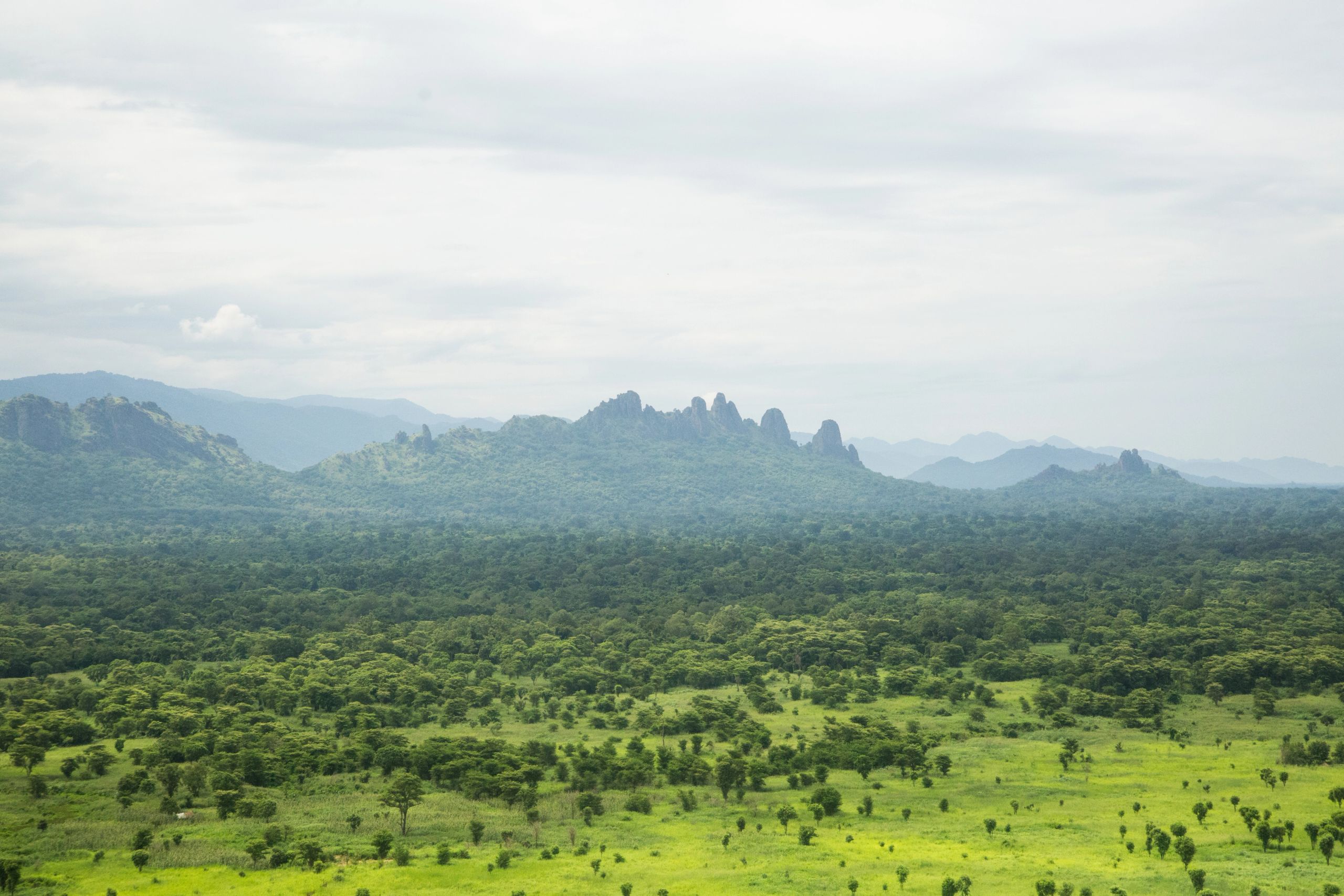 image-09896f84781c8cd80cff209dbe17d1f752e4bda1-5760x3840-jpg