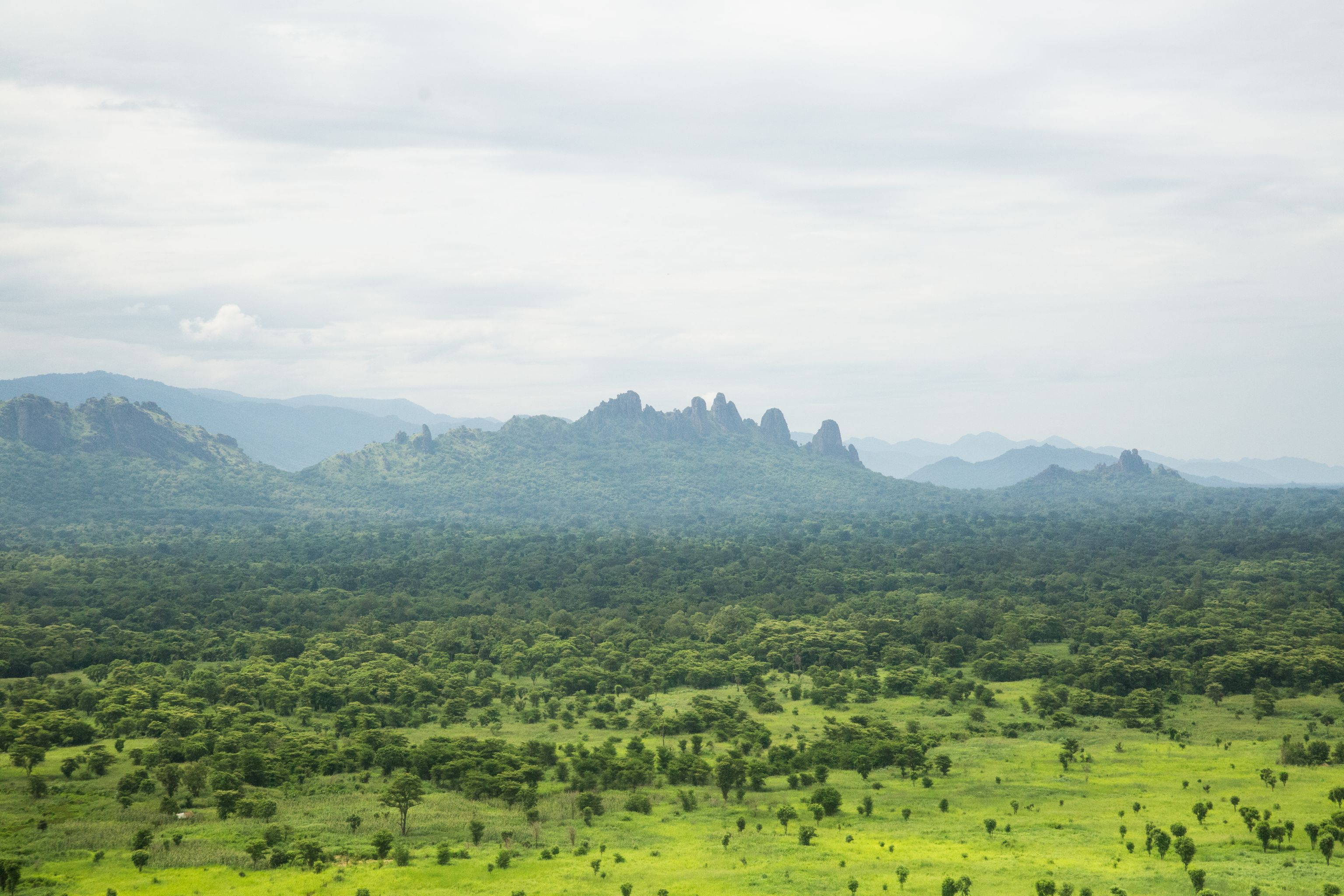 image-09896f84781c8cd80cff209dbe17d1f752e4bda1-5760x3840-jpg