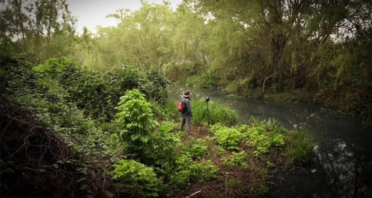 image-138ac11edc083d7d317ea7a32f7b41e0f699952b-3050x1628-png