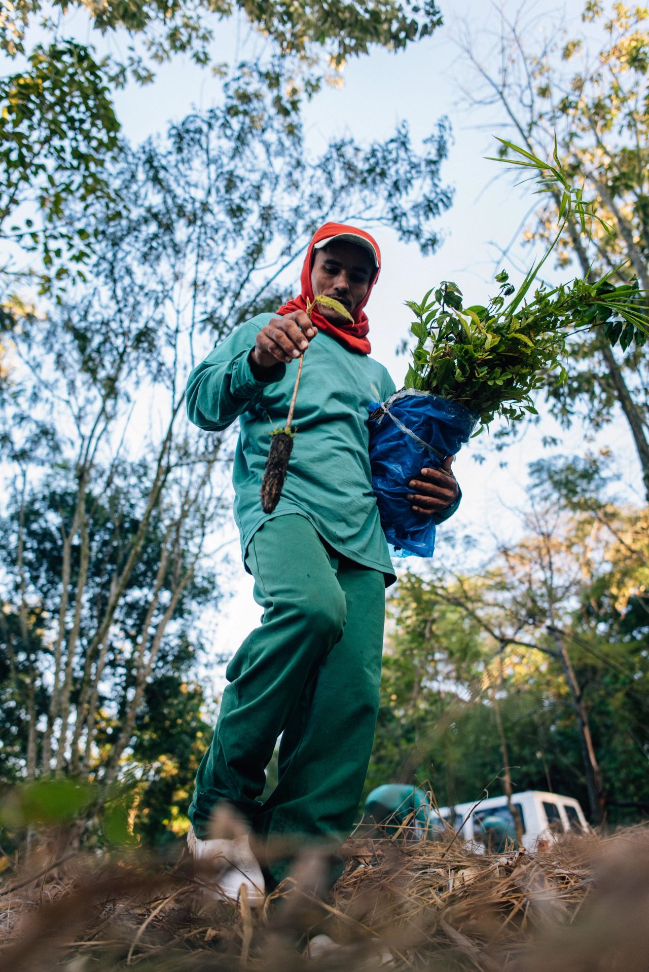 image-15fe34f6fc3fa37a983936861e299a611f2fd007-4912x7360-jpg