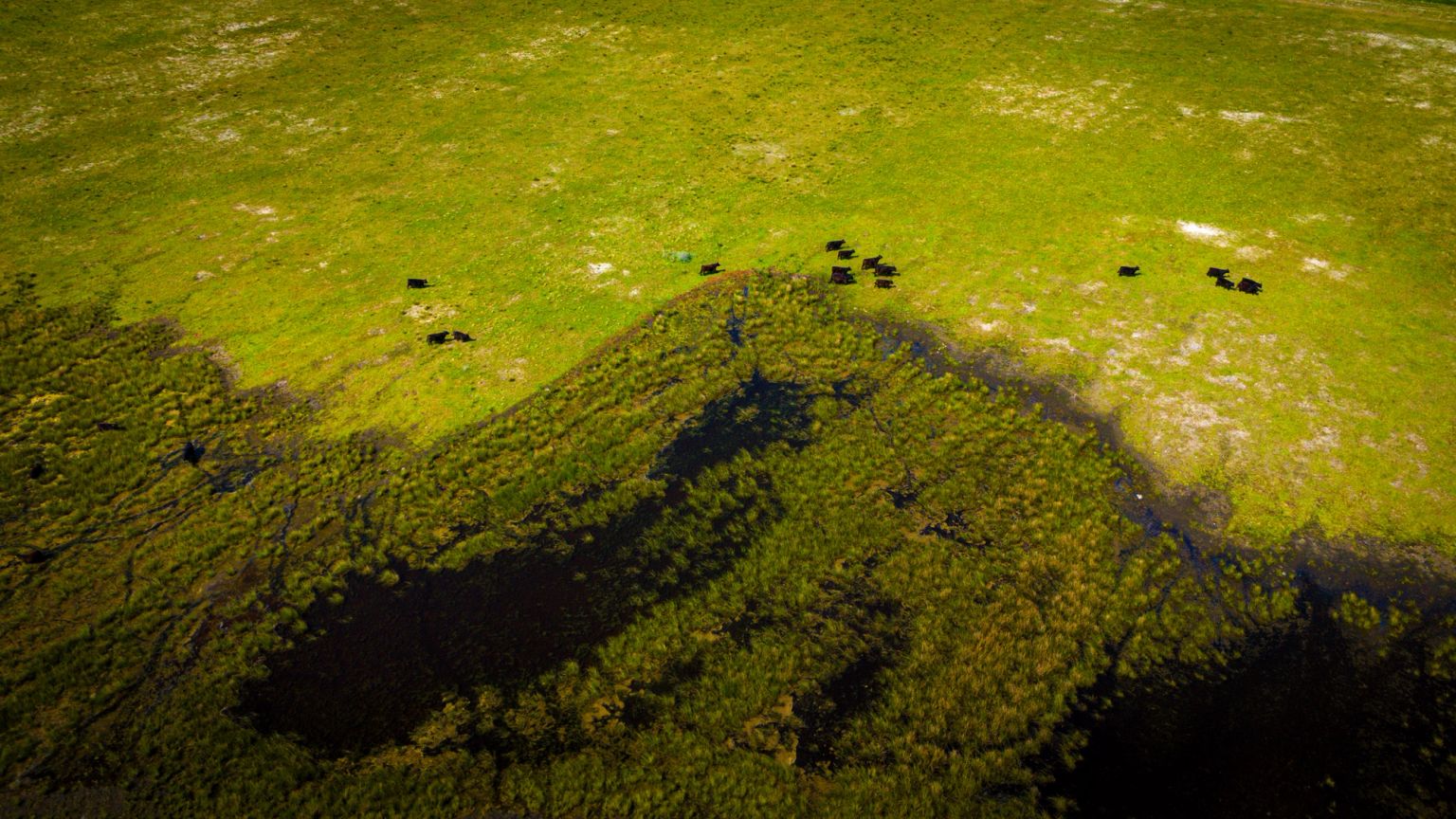 image-318adb96e8738d1af3095119d25dd6b715299eab-4032x2268-jpg