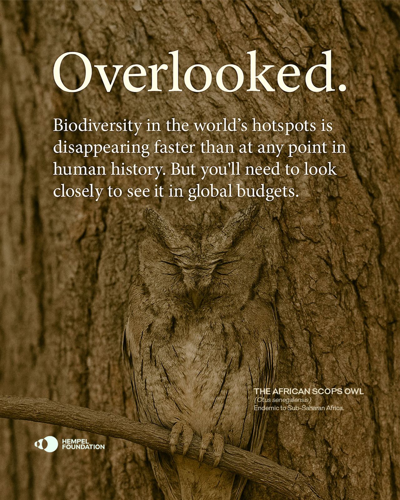 image-46ac530f1d08bc43eb3cee4be698087cba9c3865-1080x1350-jpg