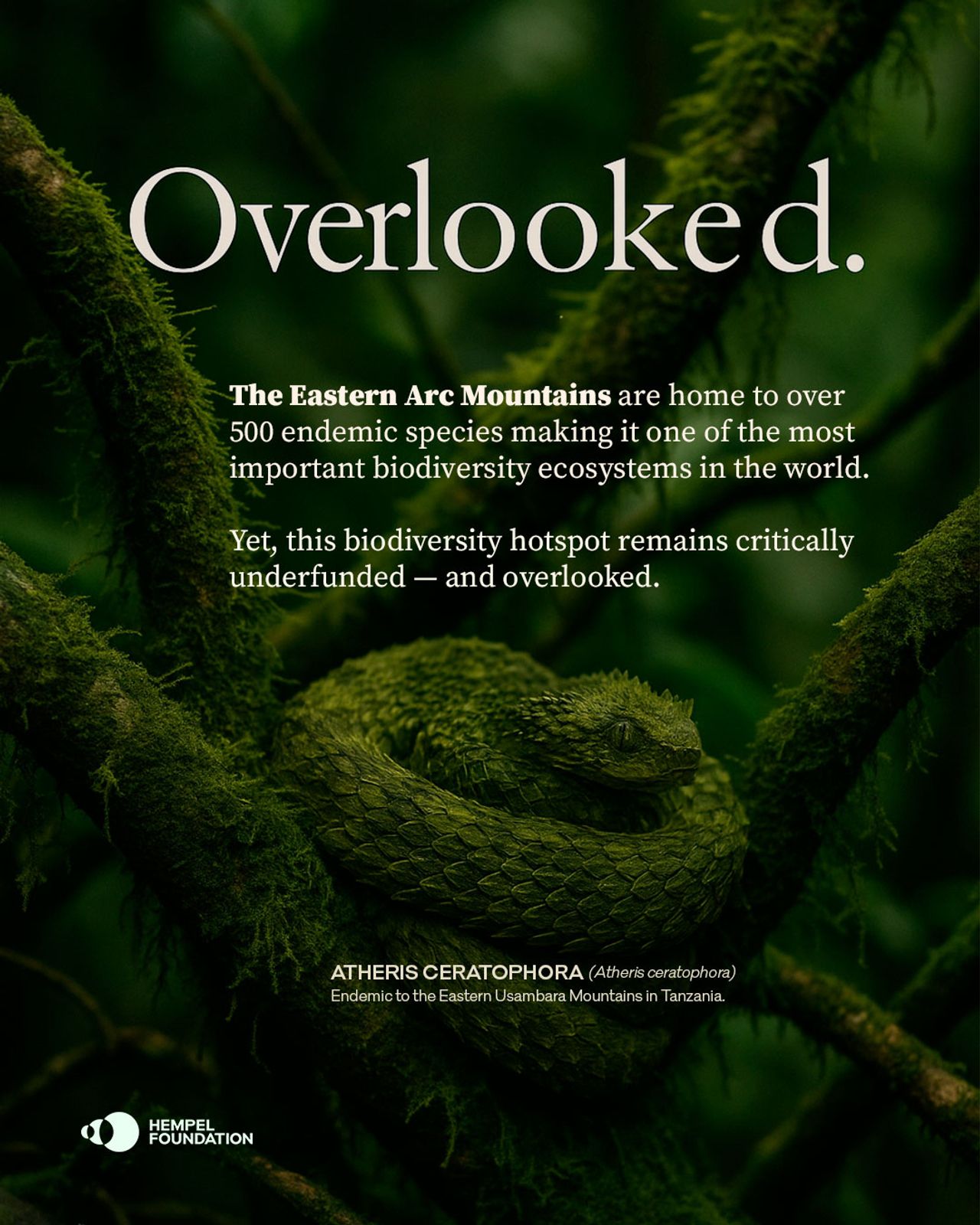 image-48d8f54d2c0862c808e0a3e4bef1a8c70d37ddf3-1080x1350-jpg