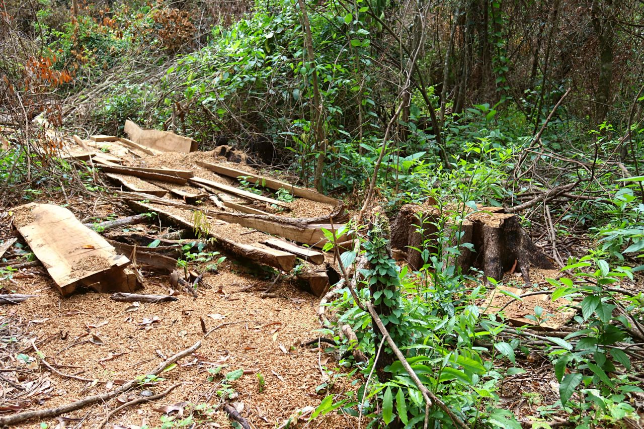 image-4ce46b2f1e3e1000ccd83fd86bd43e80f9ce2d09-6000x4000-jpg