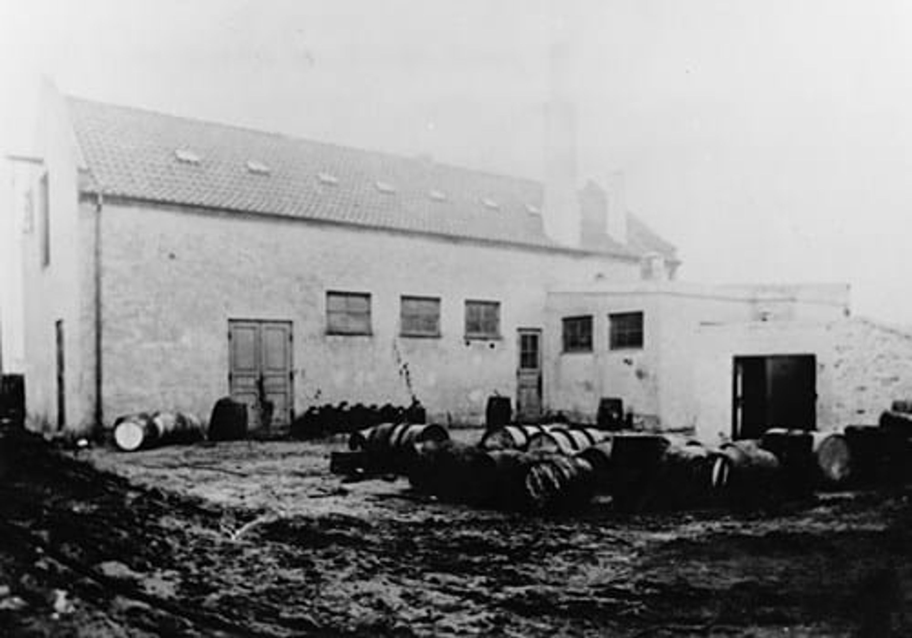 image-51e4cf92db40013db78715e96c3eca0f648655ba-500x350-jpg