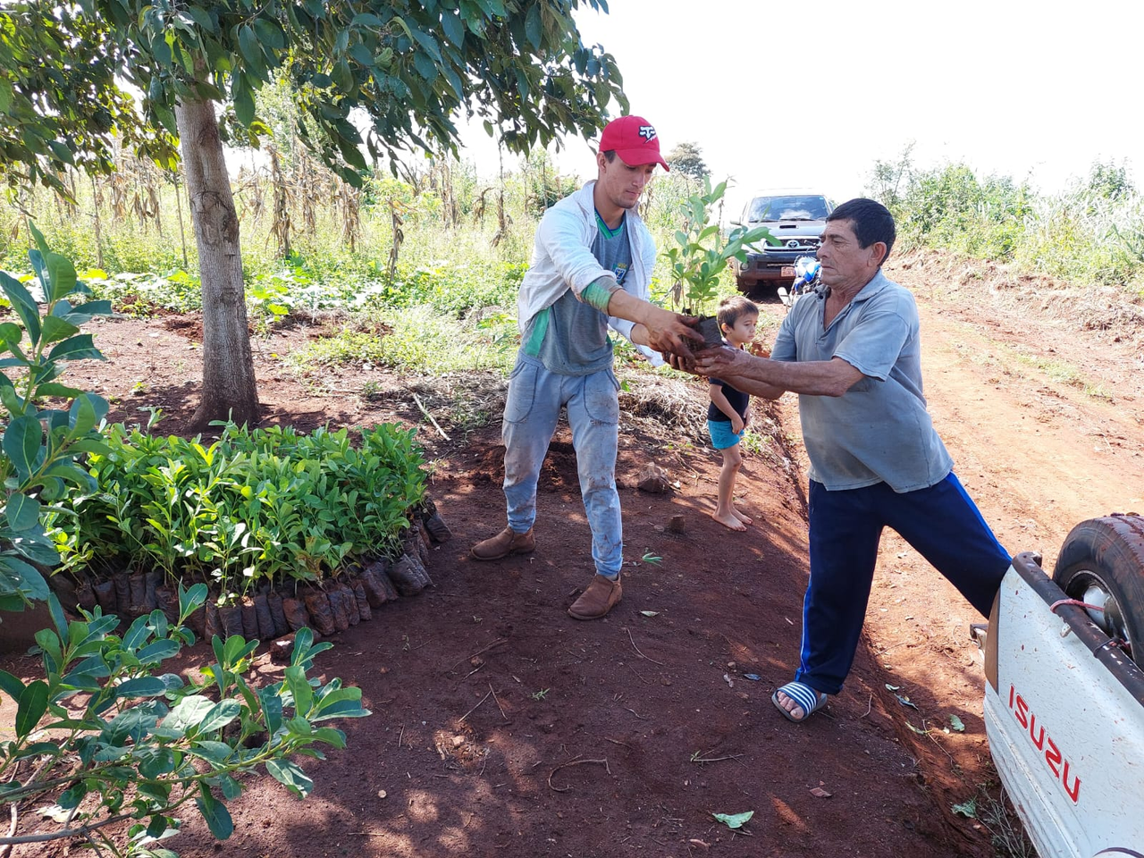 image-5e1eb9c01bb826d8598695ab2deb512b790af1bb-1600x1200-png