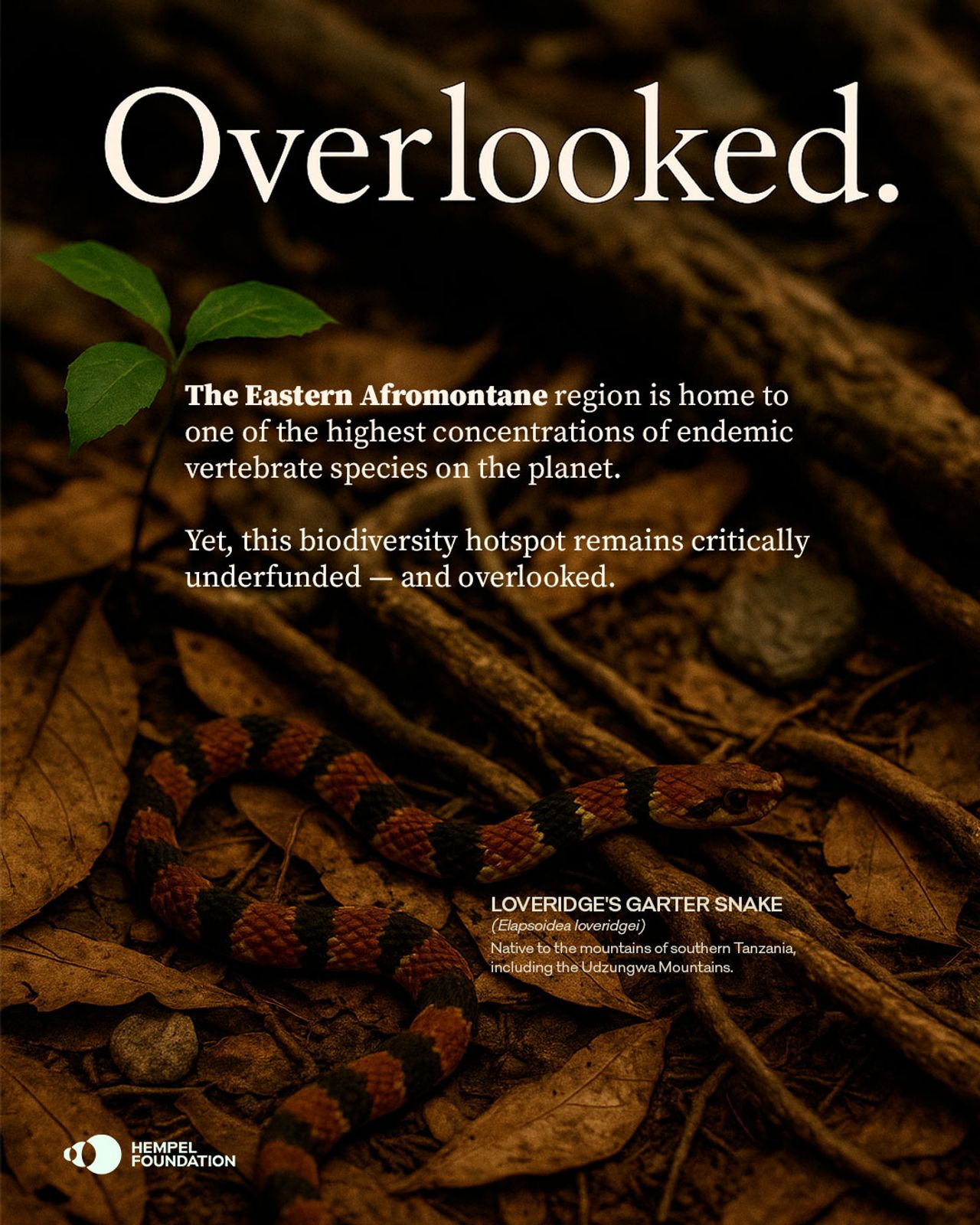 image-6662cb27f0bf3ce82b31edf5500c9c085dae649c-1080x1350-jpg