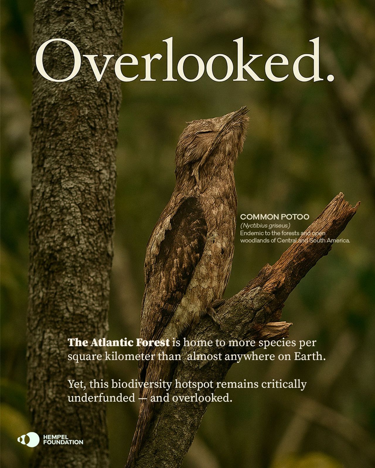 image-6ea226290f2dc1dfe8c8afb413b977bf81509364-1080x1350-jpg