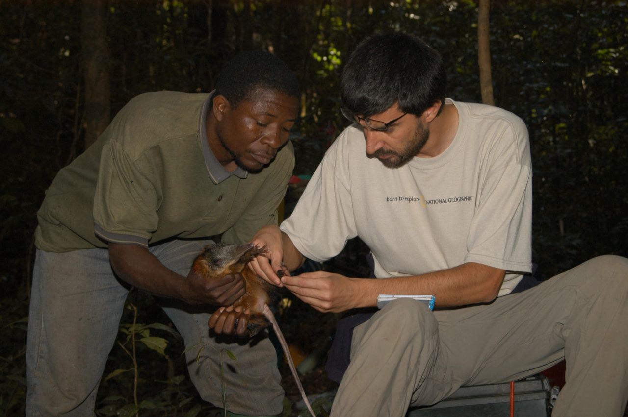 image-775fd996ad9374874ecd5999326ee7fc39c13338-3008x2000-tif