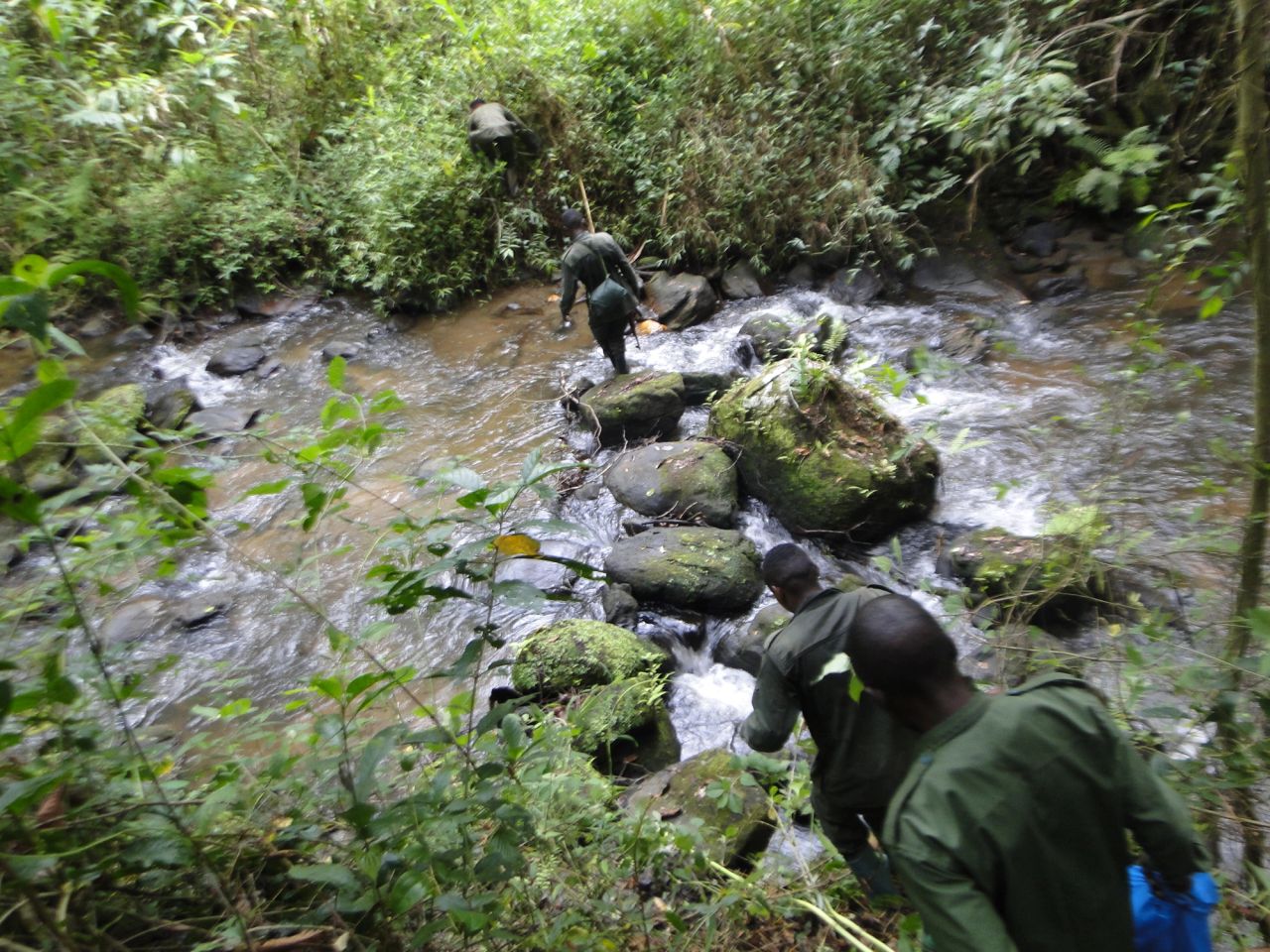 image-83a16ad625c7f1b5882ad1c9c7c5fc2c509b4185-3456x2592-jpg