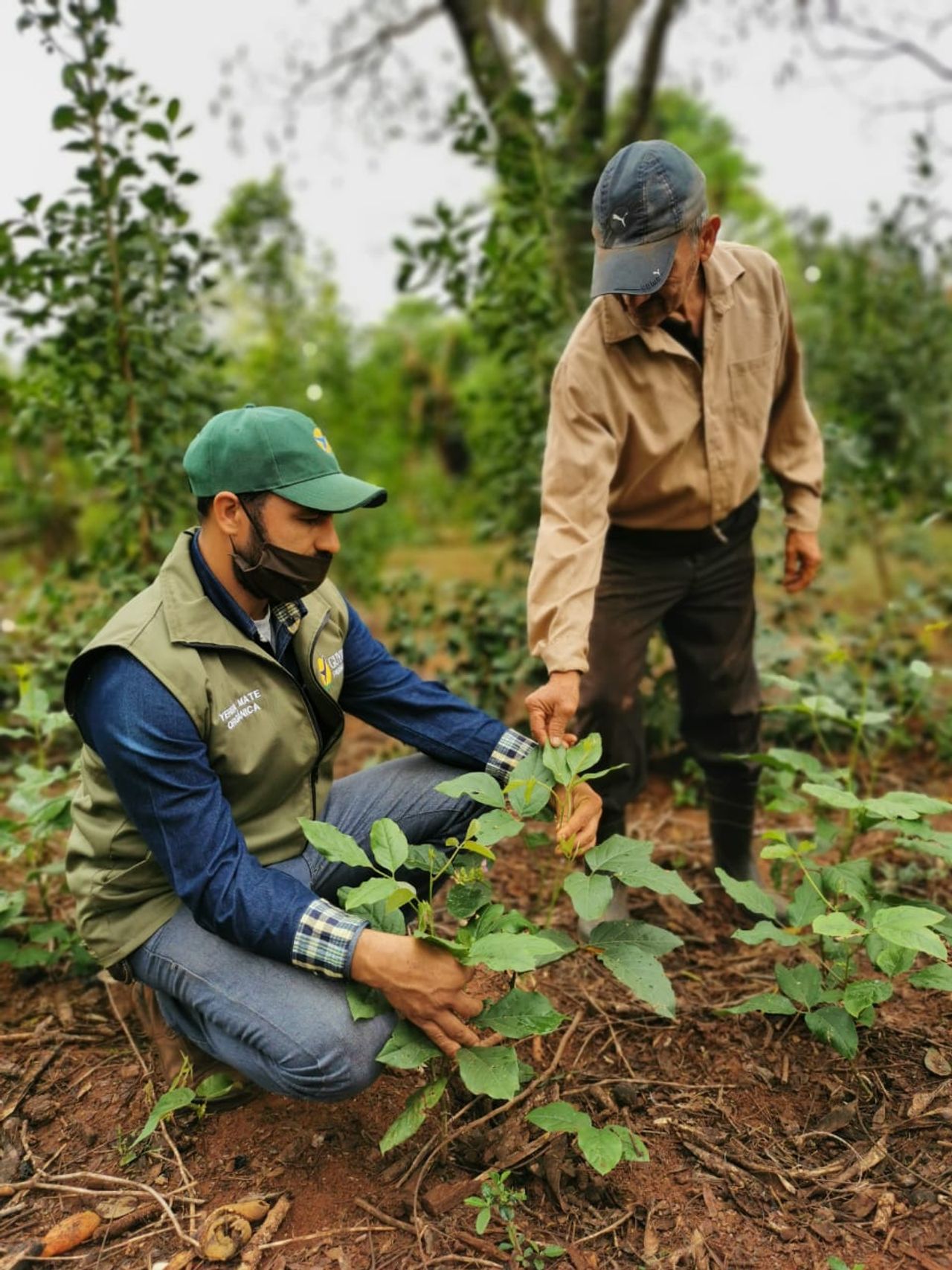 image-a485362fa4cf50715a2c06e6eb219d31c6df8060-960x1280-jpg