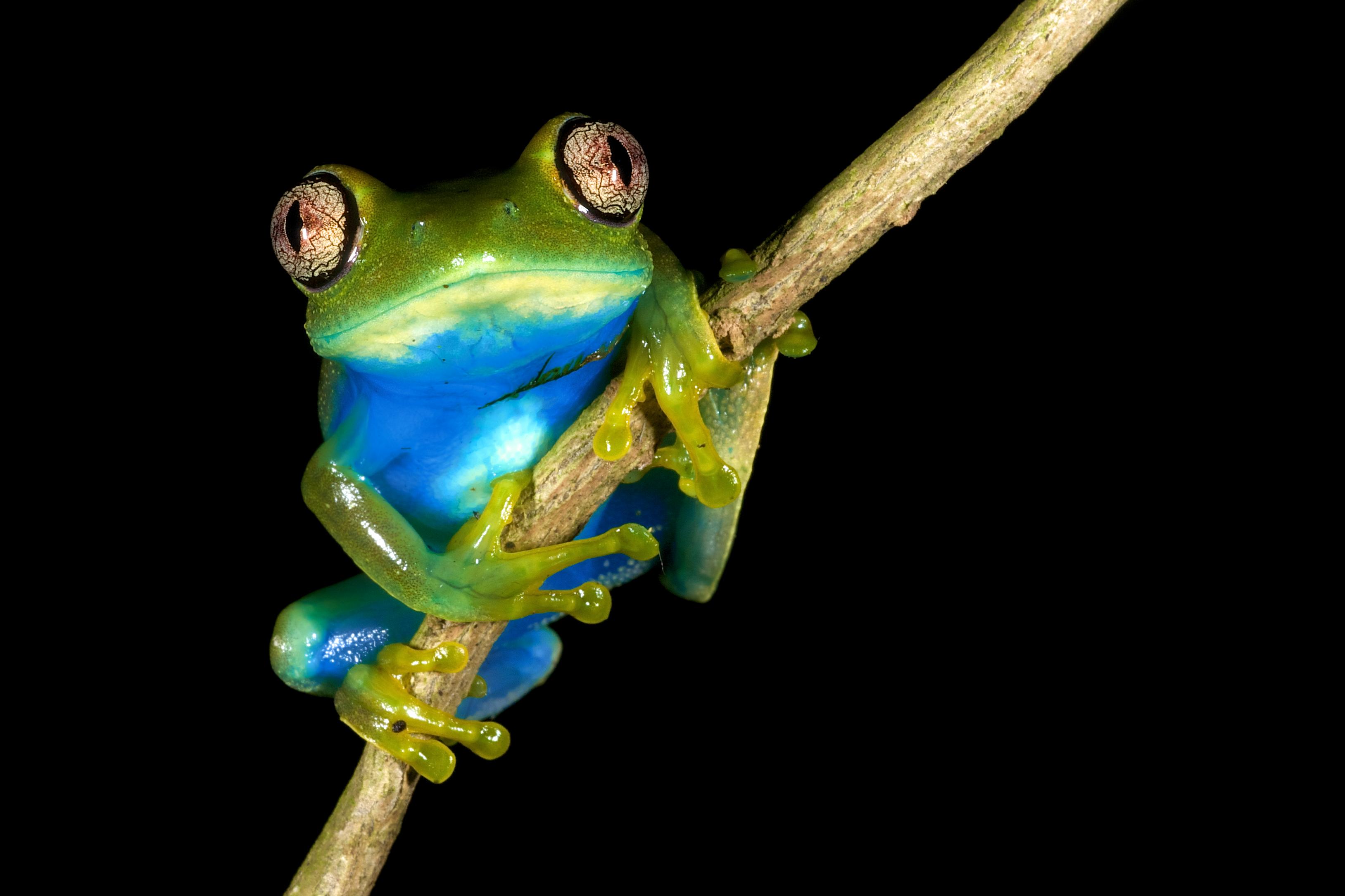 image-a5271fed670eb53361b511902f52b7a271938d25-3256x2170-tif