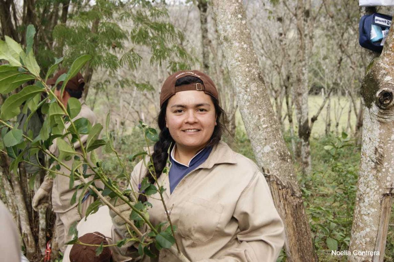 image-a82f5bd22fe9c20b4c138fa1202f1354e2f3bf57-1148x764-jpg