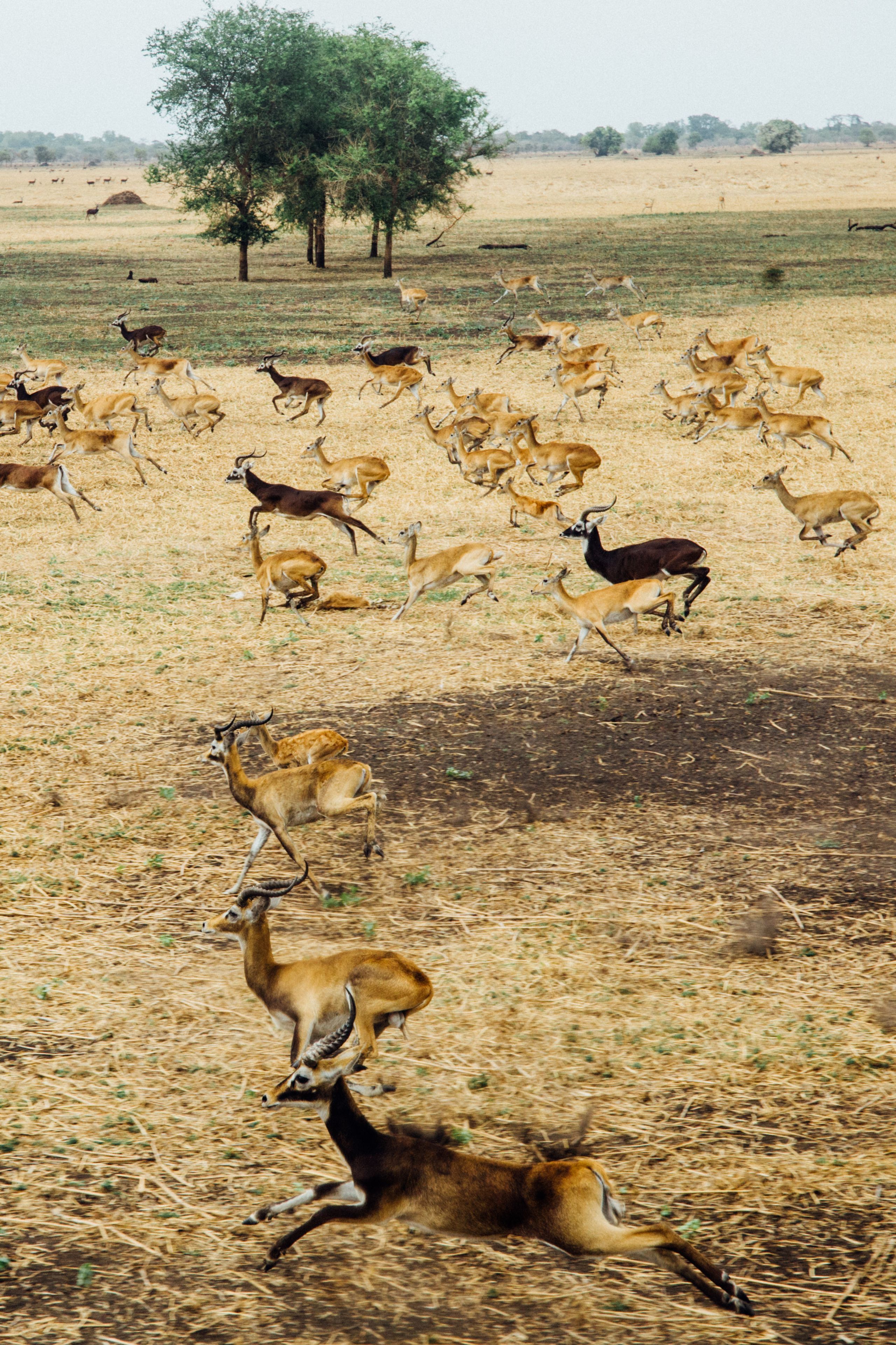 image-a9a883c8bdef13c80588997cfb86f69d5b74ad60-2519x3779-jpg