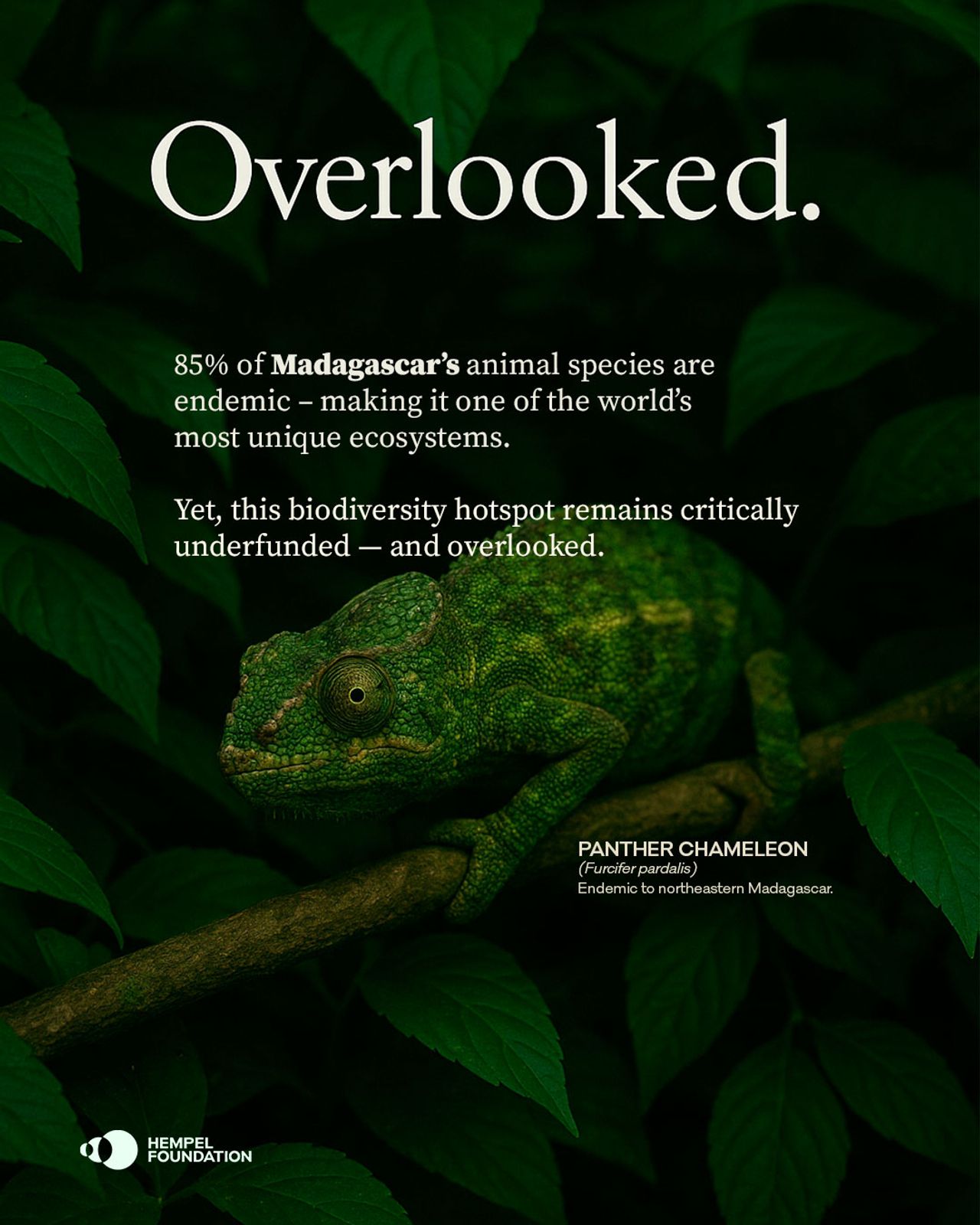 image-b09475229700a45d6ec574d91703c47f3334a30e-1080x1350-jpg