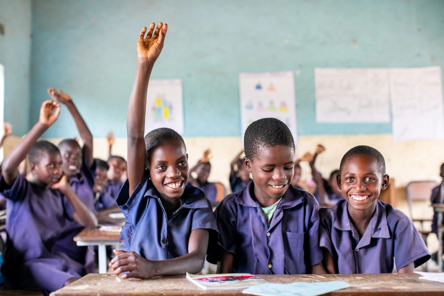 image-bd425b73ec168c1ed98ceff9137a724870222cc9-5040x3360-jpg