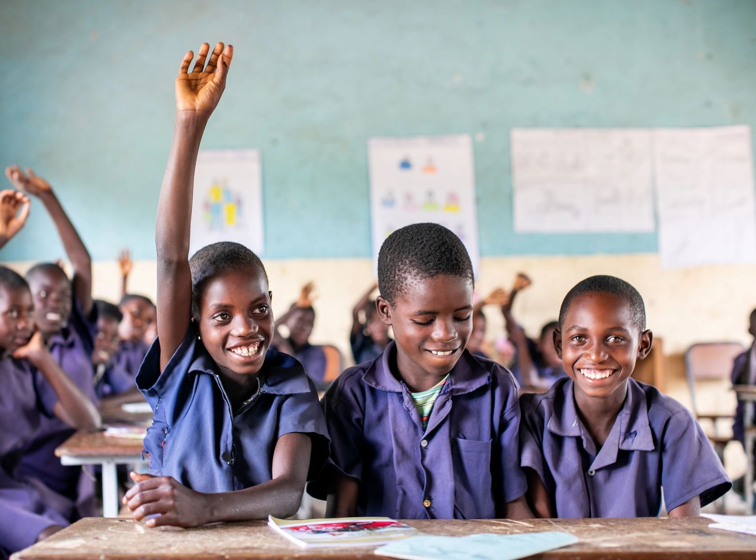 image-bd425b73ec168c1ed98ceff9137a724870222cc9-5040x3360-jpg