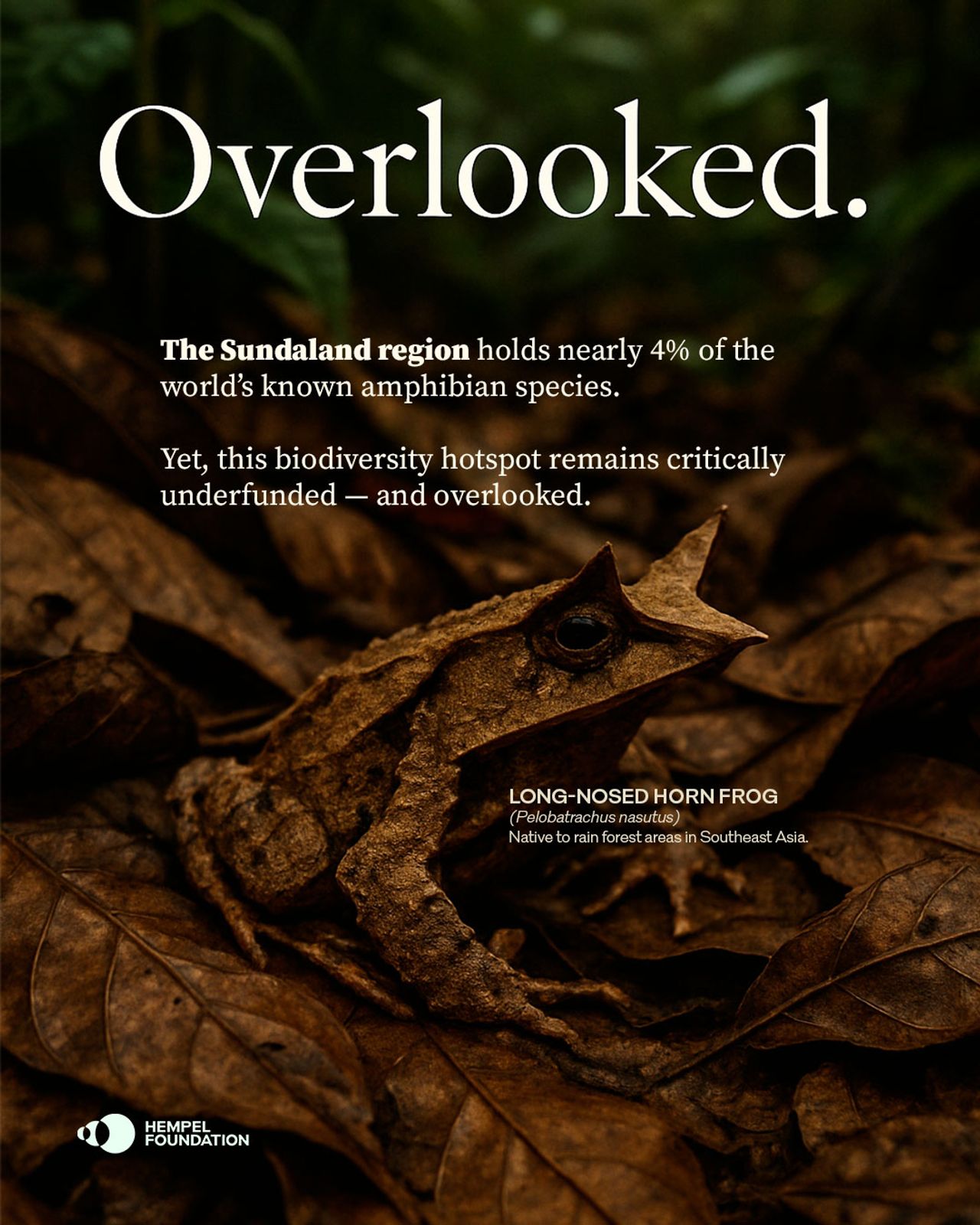 image-c18d011fc62e0a6208e2a73f9064ed4e4e15aee8-1080x1350-jpg