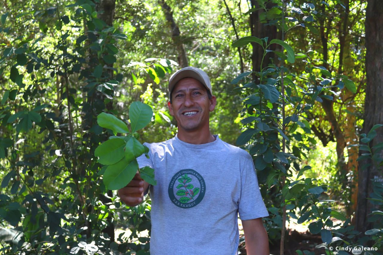 image-cb9d825a81cabaadcfe349ddc8b13a44dbc1de97-5750x3834-jpg