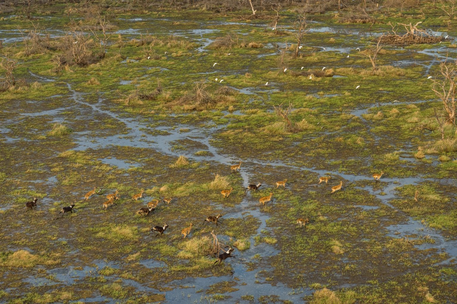 image-d4b33a606443e50921e431003e55f2cbac90ef55-7444x4963-jpg